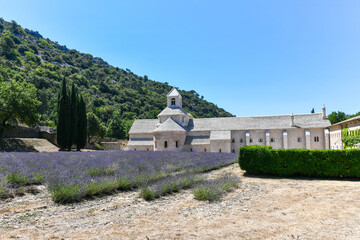 Cistercian Senanque Abbey - Gordes, France