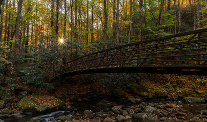 bridge in autumn forest at sunrise