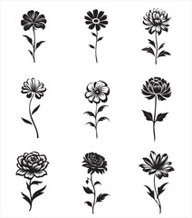 Set of beautiful flowers isolated on white background.eps file,cutting file,print ready vector illustration,editable