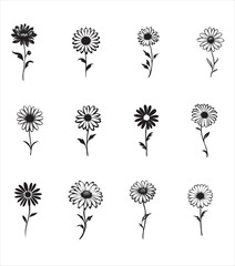 Set of beautiful flowers isolated on white background.eps file,cutting file,print ready vector illustration,editable