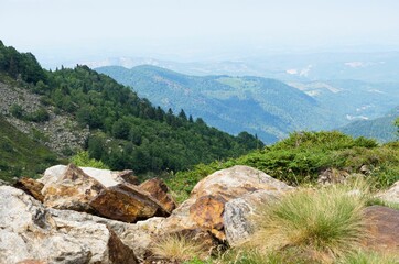 Scenic shot of the green France Pyrenees