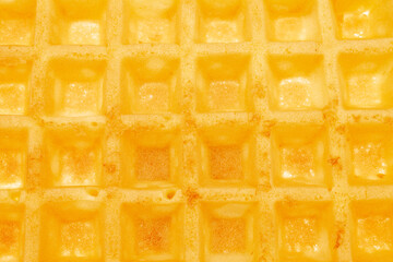 One freshly baked aromatic waffle, macro.