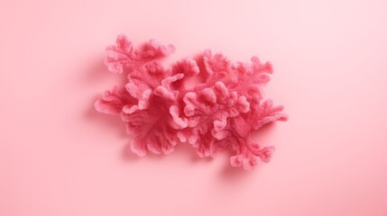 Fototapeta premium Seaweed on pink background.