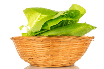 Fresh green salad leaves in a straw bowl, macro, isolated on white background.