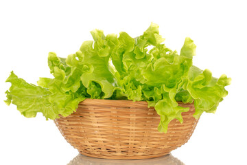 Green fresh salad in straw bowl, macro, isolated on white background.