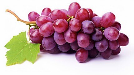 Fototapeta premium Blue grapes on white background.