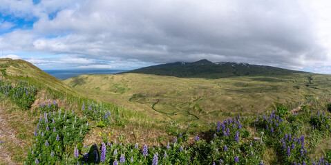 Adak Landscape