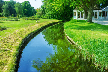 Fototapeta na wymiar Idyllic park landscape with Canal and geese picking the grass at Clingendael Estate