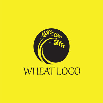 wheat logo design vector format