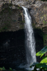 waterfall in the forest