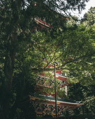 pagoda in the forest