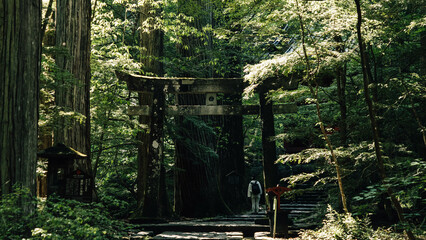 old temple in the woods