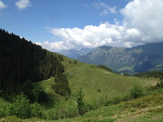 Scenic shot of the green Swiss Alps on a sunny day