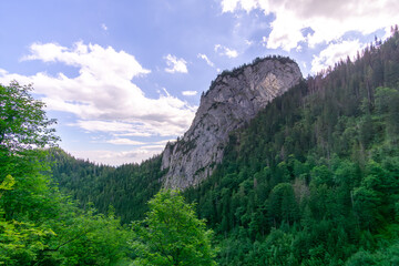 a landscape of Tatra mountains