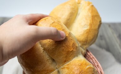 Man's hand taking a traditional Chilean Marraqueta bread, in a bread basket with white background on gray wooden table.