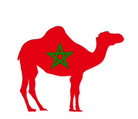 Morocco flag over dromedary camel animal vector illustration isolated on white background. North Africa state emblem. National symbol of Morocco banner. African country.
