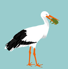 Hunting stork eating frog vector illustration isolated on background. Visitant migration bird stork in a beak holds a frog. Hunter and prey for meal. Food chain. Water echo system.