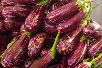 fresh striped purple eggplants at the local market 1