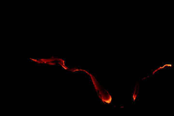 burning paper, glowing edge of paper on a black background