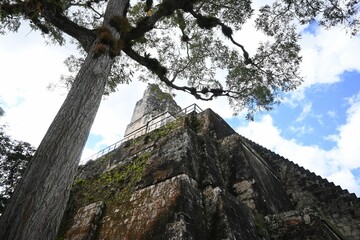 Low angle shot of Tikal Temple I under blue bright sky