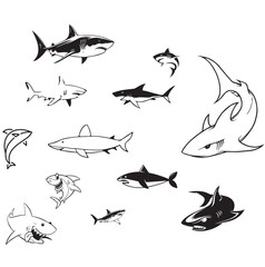shark vector art design icon, bird, silhouette, vector, animal, fish, illustration, sea, flying, nature, shark, black, icon, birds, set, wings, ocean, wildlife, collection, fly, drawing, design, art
