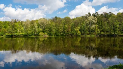Neris river with the reflection of dense trees against a cloudy sky in Vilnius, Lithuania
