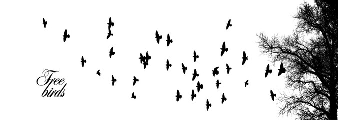 Silhouette of birds flying from the trees. Vector illustration. Art Design, Wall Decor isolated on white background. hand drawing. Not AI, Illustrat3 - obrazy, fototapety, plakaty