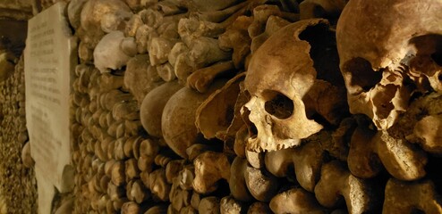 Closeup of scary skulls of human beings in the room