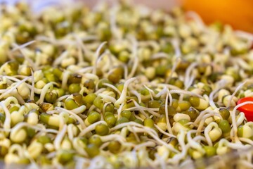 Mungo bean sprouts in the bowl in the kitchen - detail. Slovakia