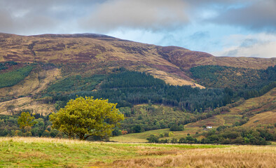 Fototapeta premium Beautiful view of a lonely tree with hills and mountains in the background, near Glencoe in Scotland