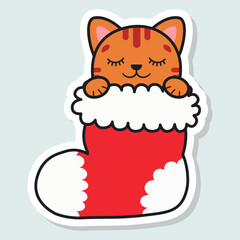 Cute cat in a Christmas stocking. Happy Holidays. Winter animal. Vector illustration.
