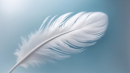 feather on a blue background,
 white feather is laying on a blue background,
white feather, blue background, 