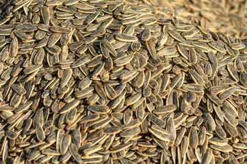 black and white sunflower seeds piled in a heap at a local market 1