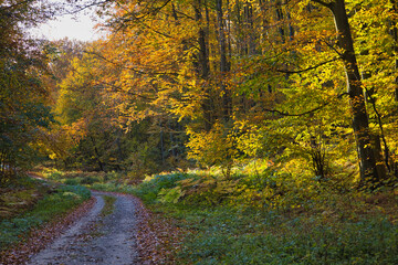 Obraz premium Insel Rügen an der Ostsee, Mecklenburg Vorpommern, Deutschland