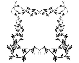 graceful frame of climbing plants roses and ivy.