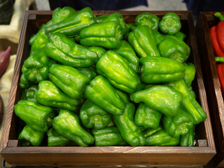 食品サンプル　ピーマン