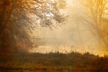 Krajobraz jesienny w parku i poranna mgła, Polska - obrazy, fototapety, plakaty