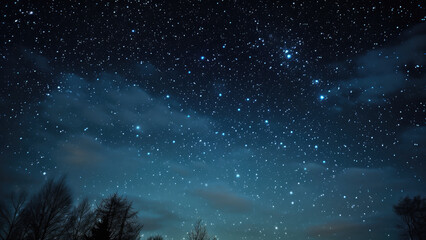 Fototapeta na wymiar Starry Night Landscape