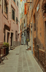 Fototapeta na wymiar A street in the village of Vernazza.