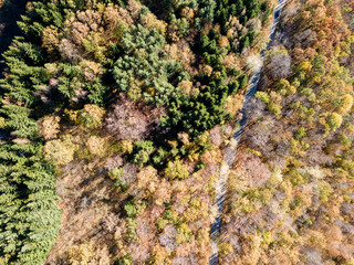 Aerial Autumn view of Vitosha Mountain, Bulgaria