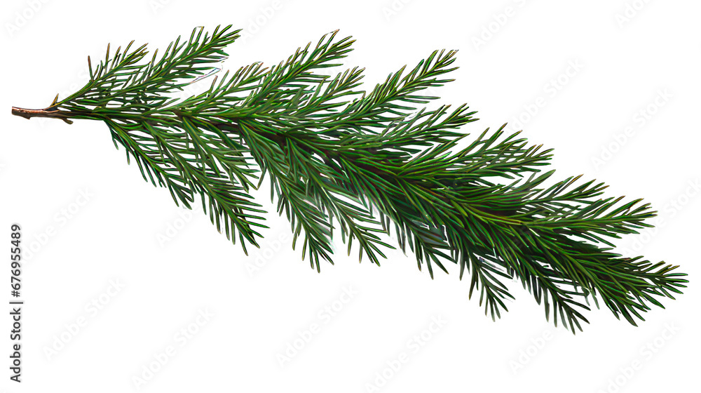 Poster Fir twigs isolated on white created with Generative AI