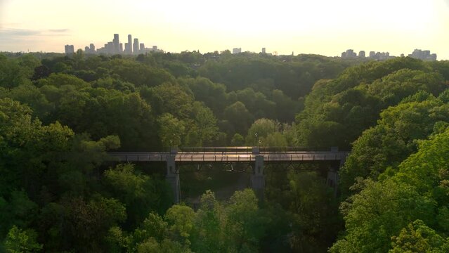 A pedestrian bridge over a ravine in the city of Toronto.