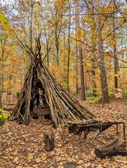 Self-built wooden hut in an autumn forest