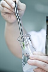 Vertical shot of a person holding a glass container with a plant