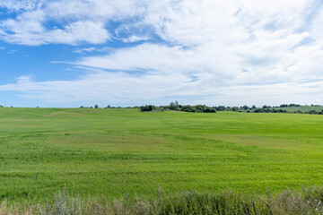 a field with green grass in the summer season