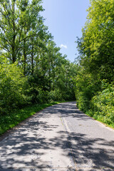 paved road in sunny weather