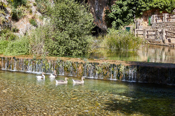 Nacimiento de Igualeja