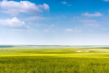 Beautiful shot of an empty green field under a blue sky