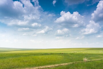 Fototapeta premium Beautiful shot of an empty green field under a blue sky