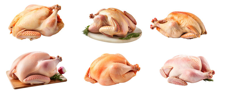 collection set of Fresh raw chicken on a transparent background.